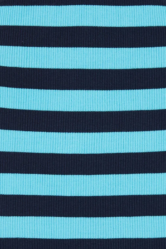 Blue Stripe